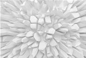 Papier peint 3D blanc Dahlia