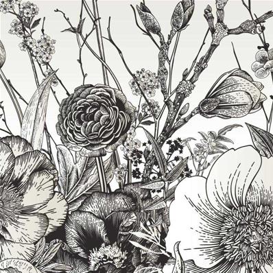 Papier peint panoramique fleurs noir et blanc Botanik