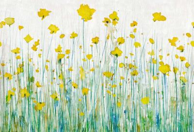 Papier peint fleurs jaunes panoramique Campo Dei Fiori