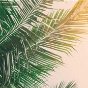 Papier peint feuillage tropical Solis