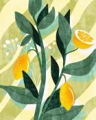 Papier peint motif citrons et feuillage panoramique Fresh Lemon 200x250