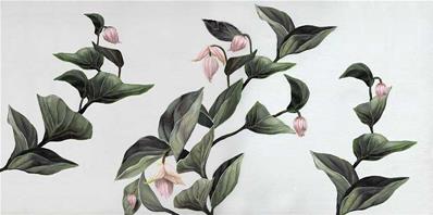 Papier peint haut de gamme fleurs Medinilla