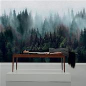 Papier peint forêt panoramique Huliburton