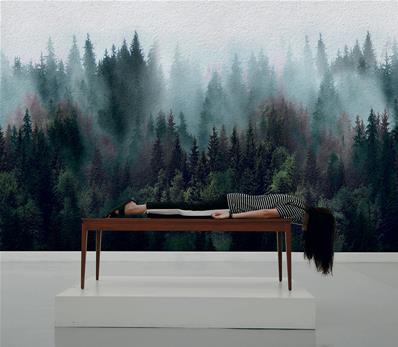 Papier peint forêt panoramique Huliburton