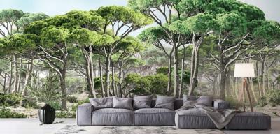 Papier peint forêt de pins maritimes panoramique Pinea