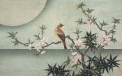 Papier peint oiseau et arbre en fleurs Bird On Peach