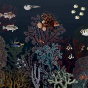 Papier peint fond marin panoramique Récif Corallien Bleu