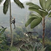 Papier peint panoramique singes et paysage Brass Monkey