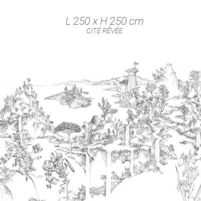 Papier peint panoramique noir et blanc nature et architecture Cité Rêvée