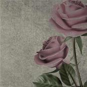 Papier peint fleur géante Roses
