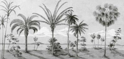 Papier peint paysage noir et blanc panoramique Land
