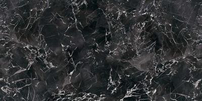 Papier peint imitation marbre noir pour douche Marmo Marquina