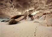 Papier peint paysage Dune de sable
