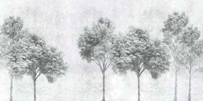 Papier peint arbres dans la brume panoramique gris Luce