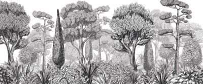 Papier peint arbres noir et blanc panoramique Mediterraniu NB