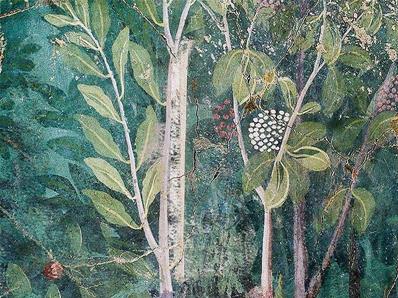 Papier peint jardin botanique et oiseaux Vividarium