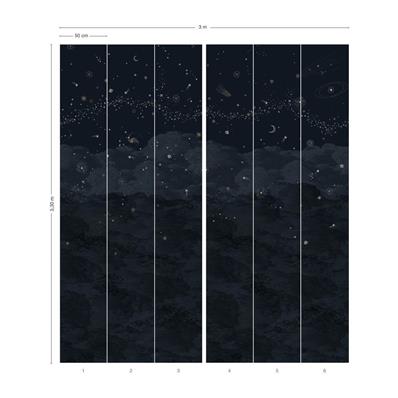 Papier peint panoramique Nuit étoilée Sirius, 300x330