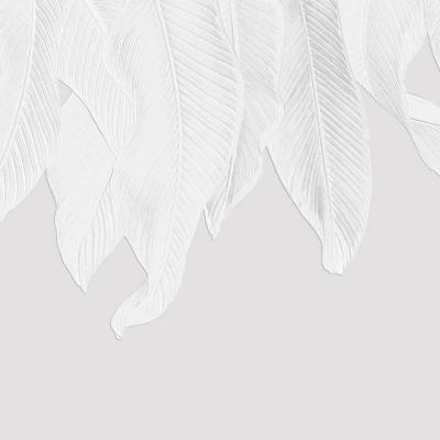 Papier peint feuillage blanc panoramique aspect 3D White Cascade