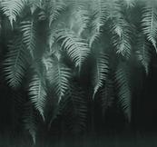 Papier peint salle de bain The breath of ferns