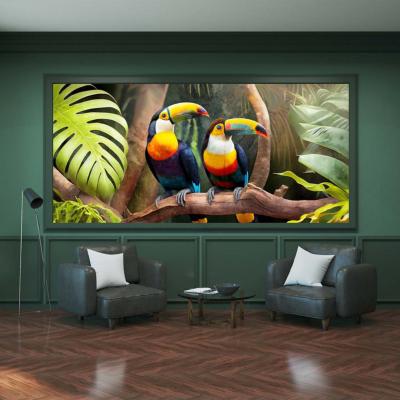 Papier peint panoramique oiseaux exotiques Tuca Tuca