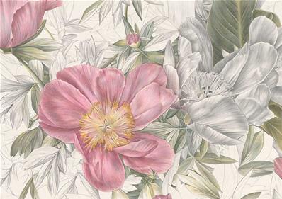 Papier peint haut de gamme fleurs géantes Armonia