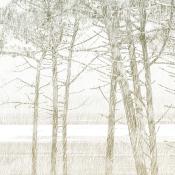 Papier peint forêt illustrée panoramique Les Pins 384x280