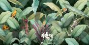 Papier peint feuillage tropical et oiseaux exotiques panoramique Marica
