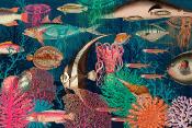 Papier peint poissons multicolores panoramique Le Monde