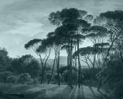 Papier peint paysage arbres panoramique Ombrelli Eucalyptus 336x270