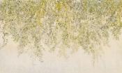 Papier peint feuillage tombant olivier Mediterranean Gold