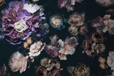 Papier peint dark floral luxe Emilie