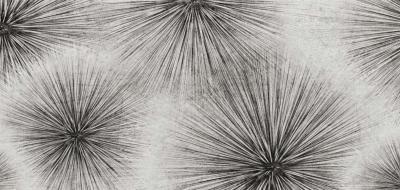 Papier peint fleurs graphiques noir et blanc panoramique Sparks 