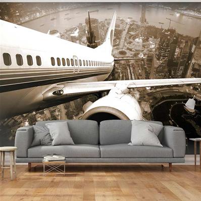 Papier peint panoramique avion The plane