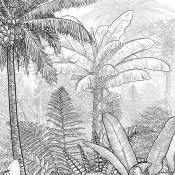 Papier peint jungle panoramique gris et blanc Lombok