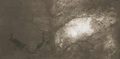 Papier peint design cime d'arbre  Macao