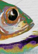 Papier peint banc de poissons multicolore Stream Dream