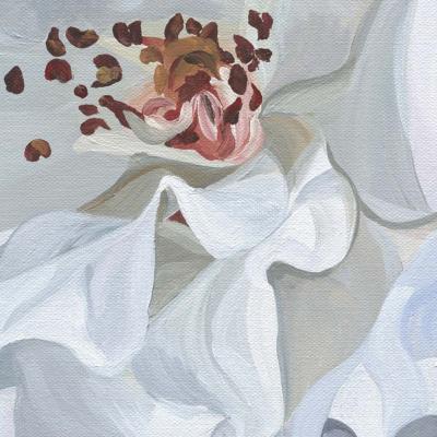 Papier peint fleurs roses anglaises Ophelia Modular
