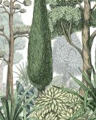 Papier peint arbres verts illustrés panoramique Mediterraniu