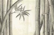 Papier peint haut de gamme zen Bamboo