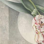 Papier peint luxe illustration florale L'Abbraccio