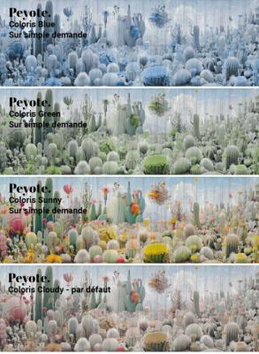 Papier peint luxe cactus panoramique Peyote