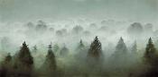 Papier peint forêt de sapins verts panoramique Smoke