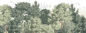Papier peint paysage arbres verts panoramique Feuillus