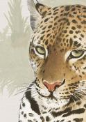 Papier peint jungle et animaux panoramique Leopard