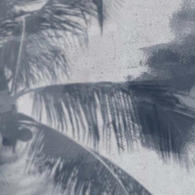 Papier peint panoramique palmiers bleu et gris Nara