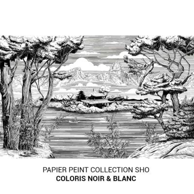 Papier peint paysage japonais noir et blanc Sho