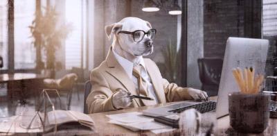 Papier peint panoramique chien en costume et ordinateur Mediator