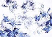 Papier peint fleurs bleues sur fond blanc Blue Silhouettes 350x250