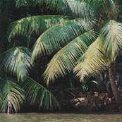 Papier peint palmiers sur-mesure Butia