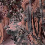 Papier peint paysage aride Navajo Dream Terracotta